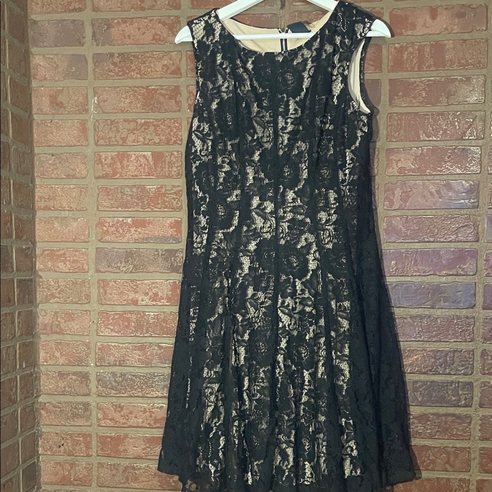Gabby Skye Lace Dress 14